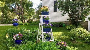 Ein Garten mit einer weißen Leiter und blauen Blumentöpfen.
