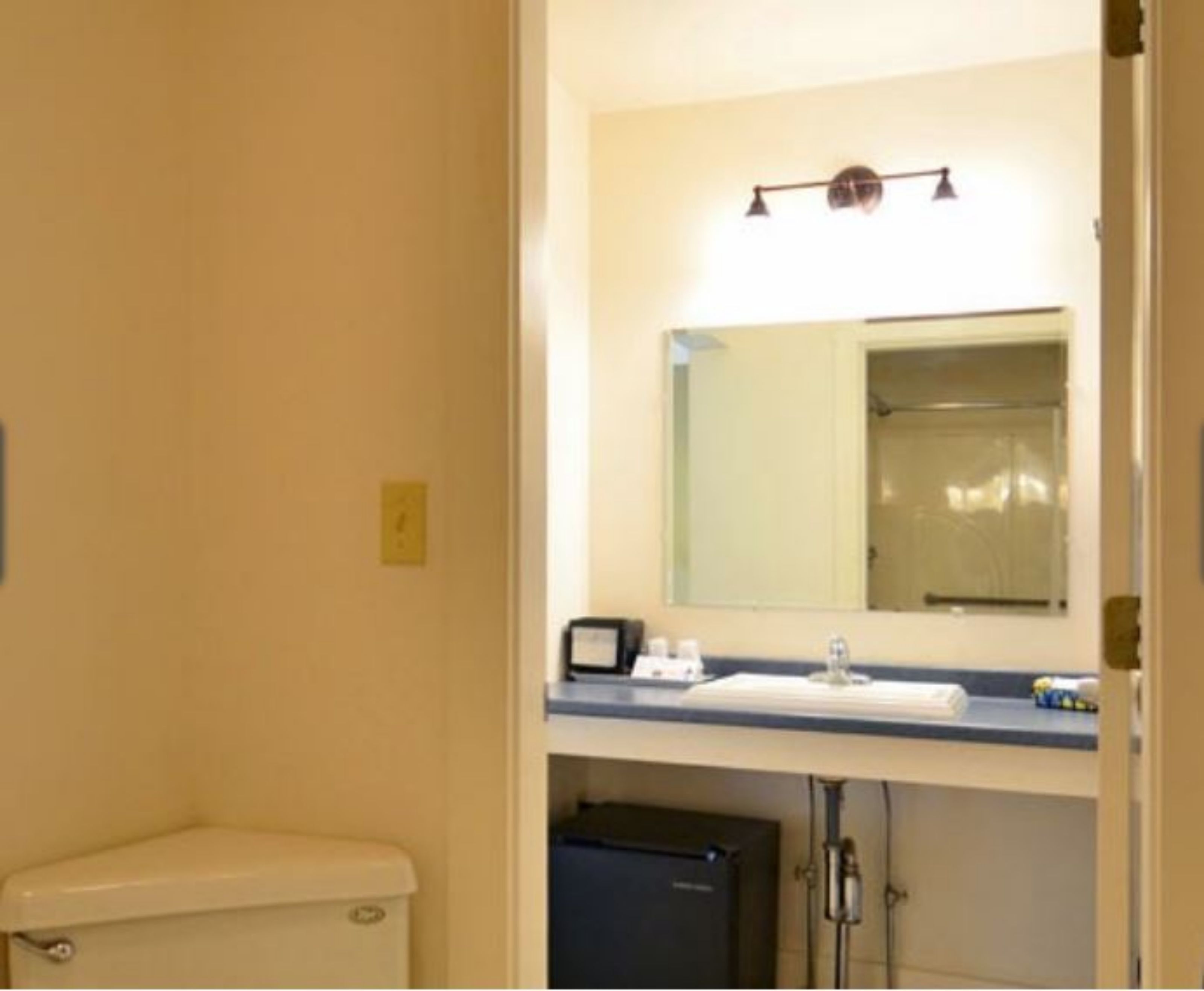 Un baño con inodoro, lavabo y espejo.