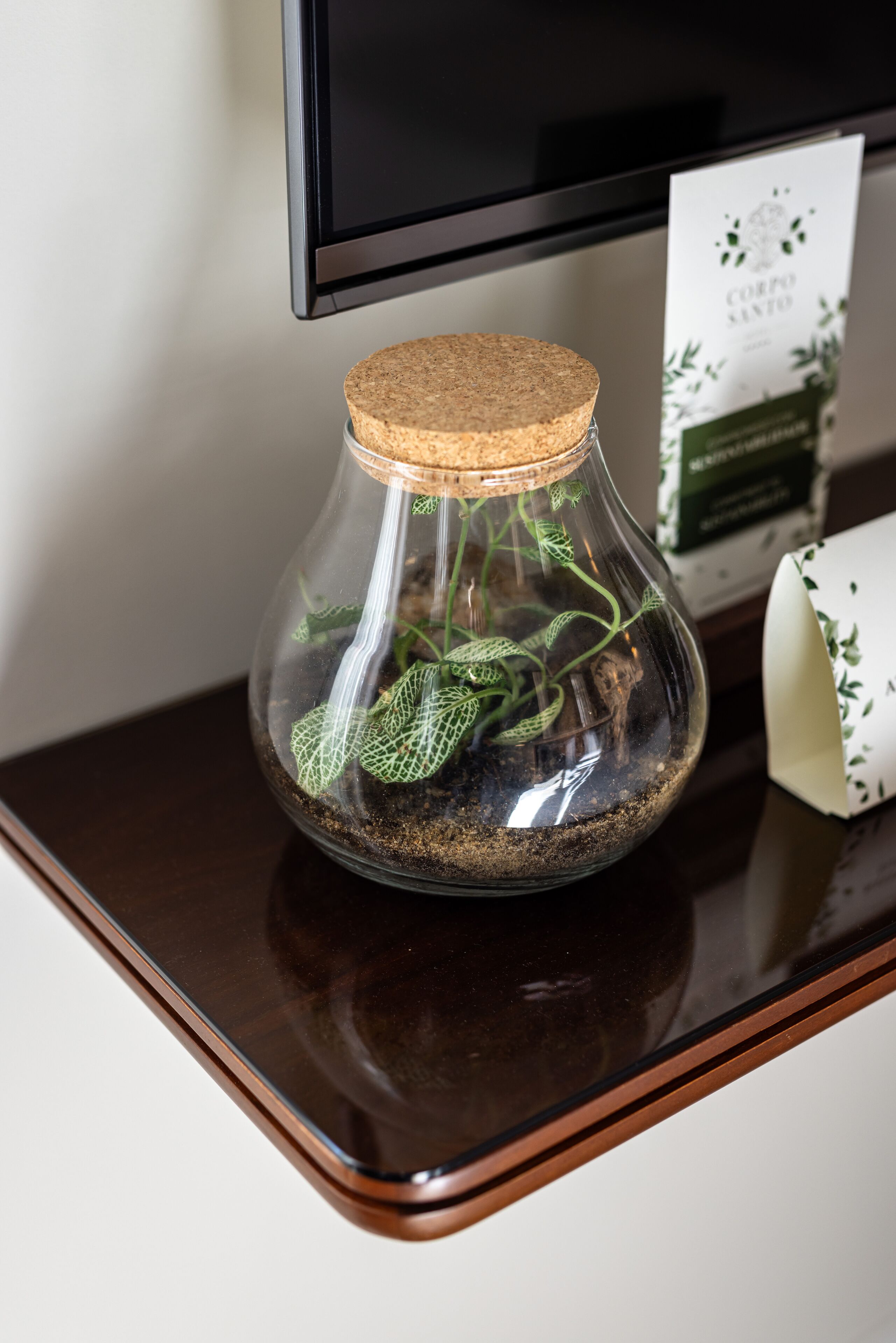 A glass terrarium with a cork stopper on a wooden table.