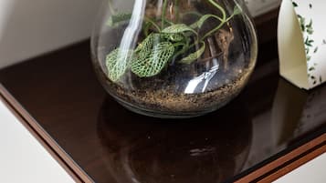 A glass terrarium with a cork stopper on a wooden table.