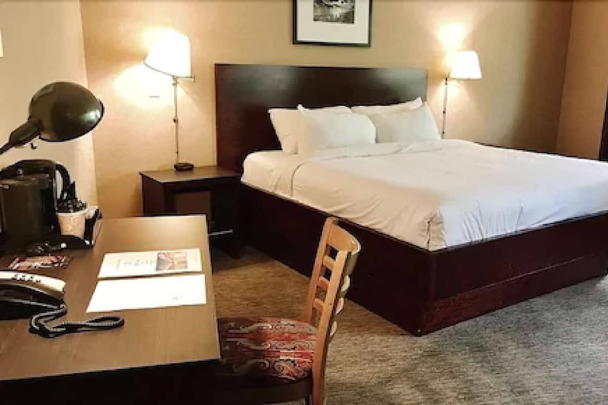 Chambre Standard, 1 grand lit et 1 canapé-lit | Literie de qualité, coffre-fort, bureau, fer et planche à repasser