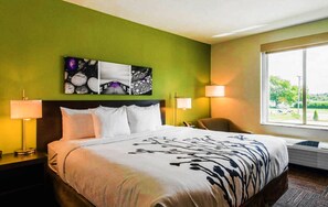 خزنة داخل الغرفة ومكتب وتجهيزات عازلة للصوت ومكواة/لوح كي