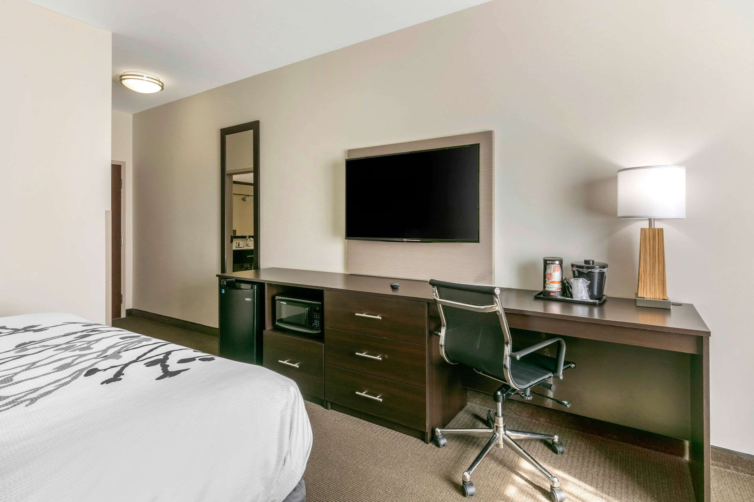 standard room, 1 king bed with sofa bed, non smoking (2 person sofa bed) | in-room safe, desk, soundproofing, iron/ironing board