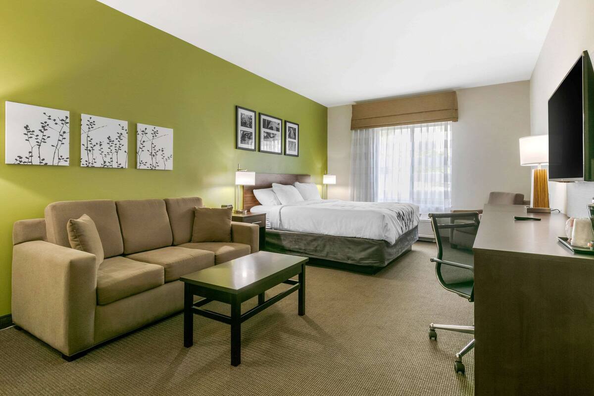 Une chambre d’hôtel avec un lit, un canapé, un bureau et une télévision.
