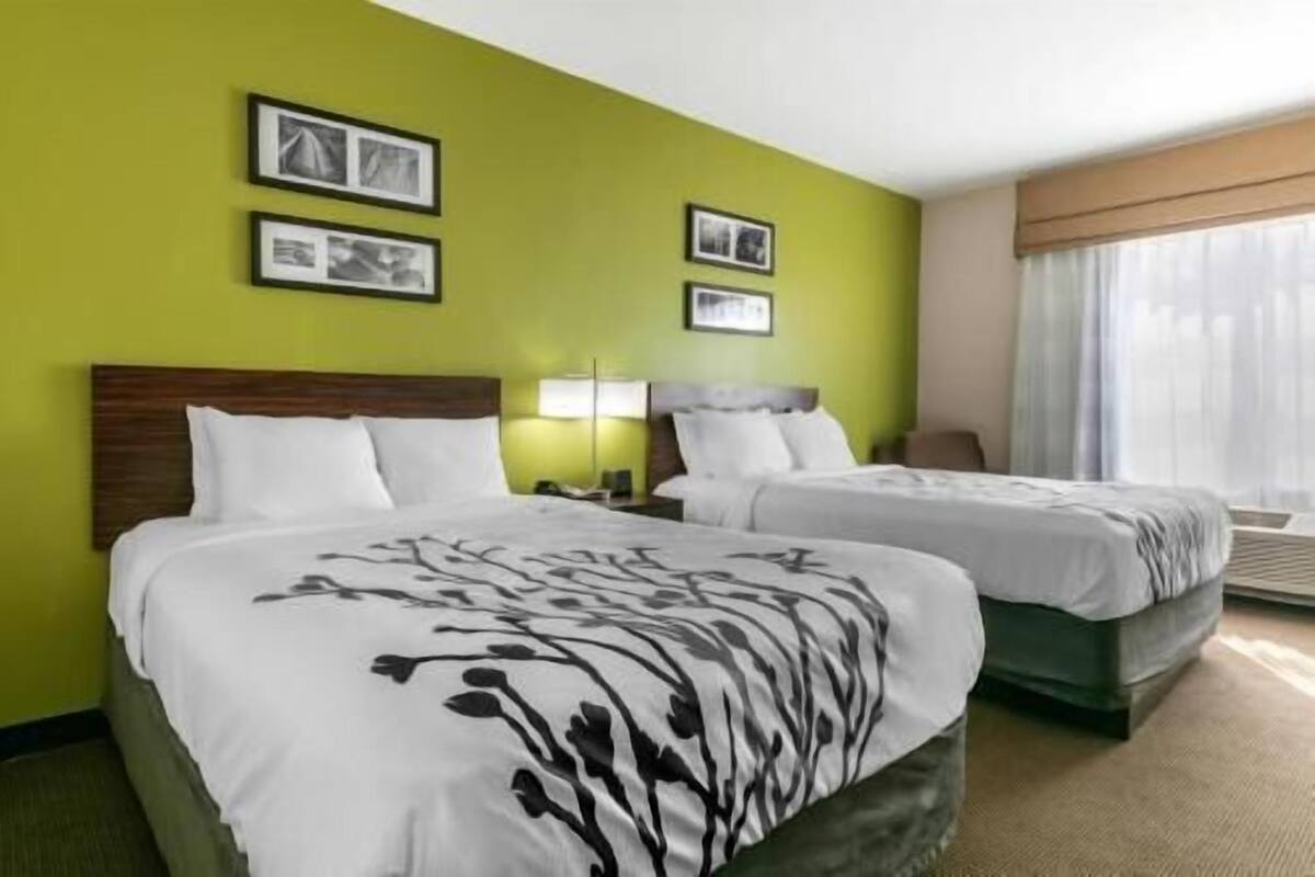 Ett hotellrum med två sängar, en grön vägg och inramade tavlor.