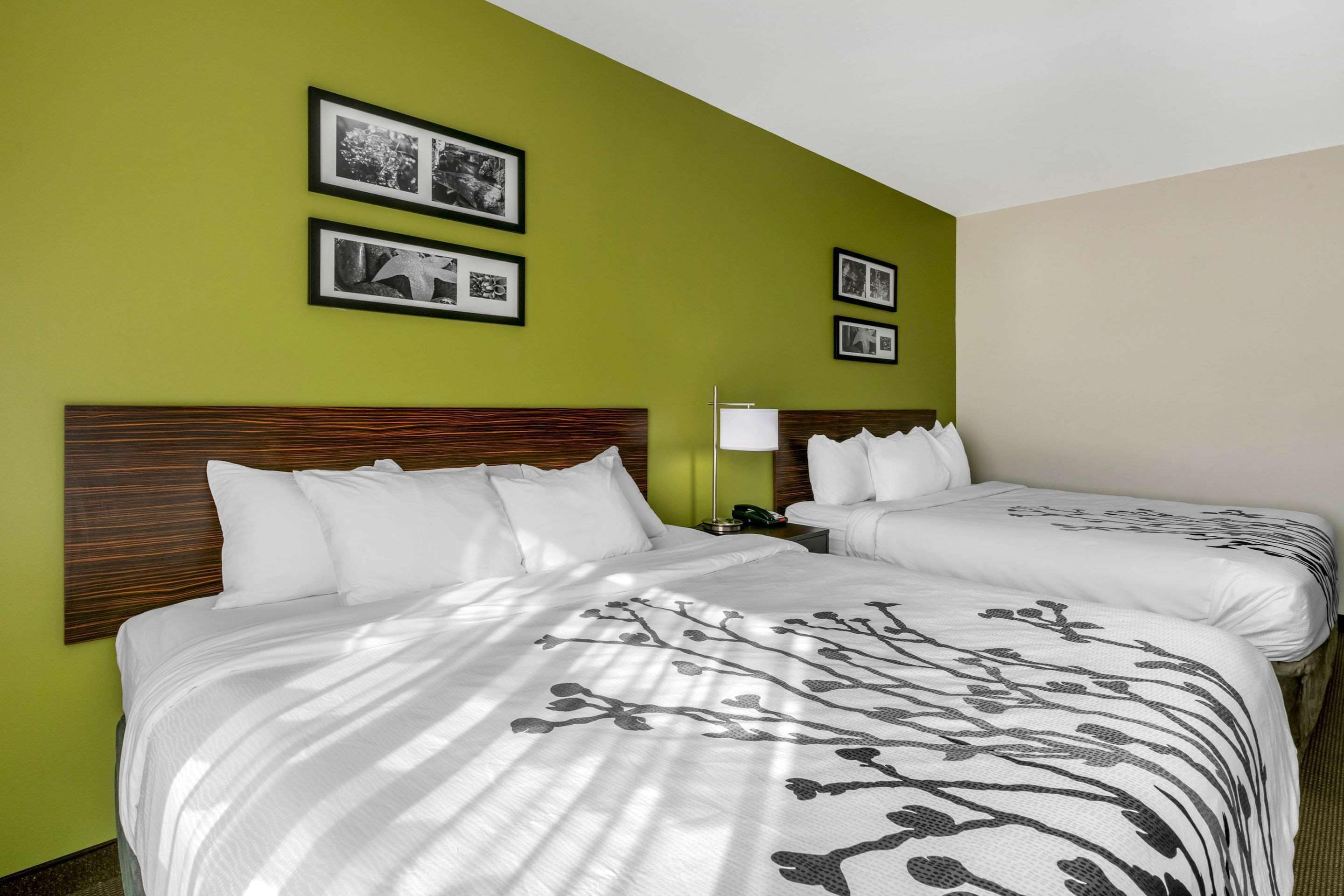 A hotel room with two beds, green walls, and framed pictures on the wall.