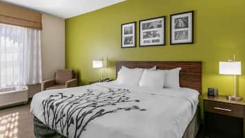 Habitación estándar, 1 cama King size y sofá cama, para no fumadores (2 Person Sofa bed) | Caja de seguridad en la habitación, escritorio y insonorización