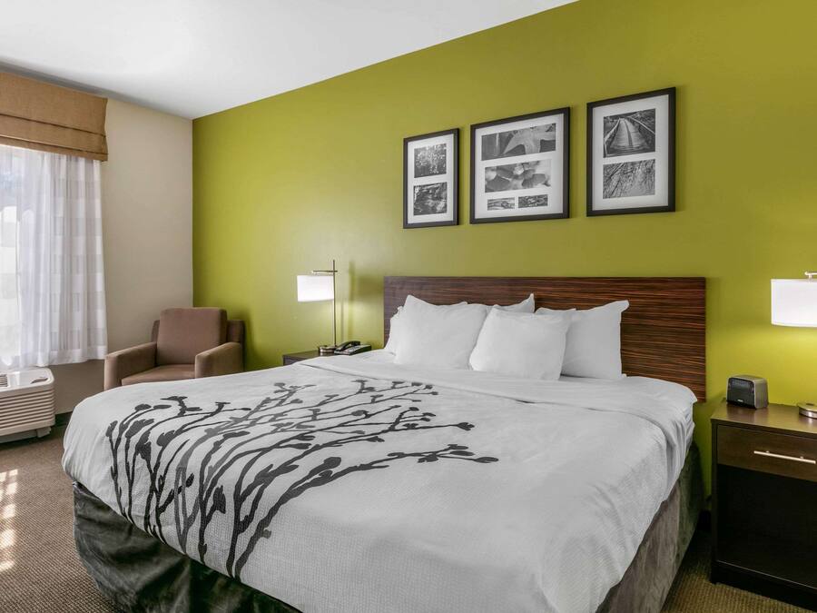 Quarto standard, 1 cama King e sofá-cama, para não fumantes (2 Person Sofa bed) | Cofres nos quartos, escrivaninha, quartos à prova de som