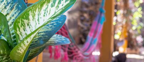 A close-up of variegated leaves, a hammock, and a blurred background with a yellow structure.