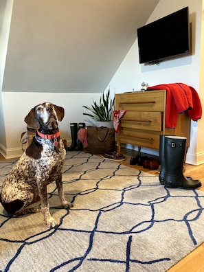 Ropa de cama de alta calidad y camas con pillow-top