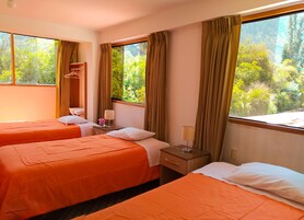 Habitación de hotel con dos camas, una mesita de noche, una lámpara y vistas al exterior con vegetación.