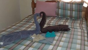 A bed with a plaid bedspread, pillows, and a swan-shaped pillow. - MaFlo Arms Apartments (Belize City)