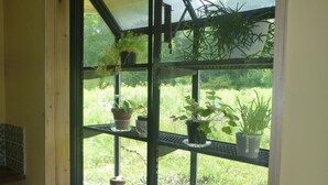 A window with multiple potted plants on a shelf, a stone on the windowsill, and a view of a green landscape outside. - Cozy, Artistic Retreat Surrounded By Waterfalls, Orchards And Gardens (Newfield)