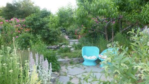 A garden pathway with stone steps, surrounded by lush greenery and flowering plants. - Cozy, Artistic Retreat Surrounded By Waterfalls, Orchards And Gardens (Newfield)