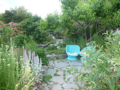 Cozy, Artistic Retreat Surrounded By Waterfalls, Orchards And Gardens