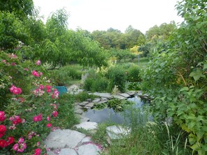 Property grounds - Cozy, Artistic Retreat Surrounded By Waterfalls, Orchards And Gardens (Newfield)
