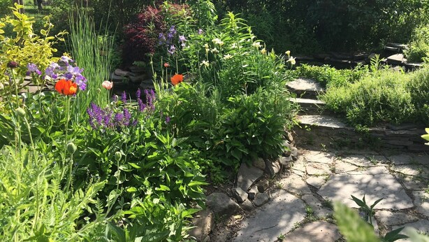 A garden with a stone pathway surrounded by various plants and flowers. - Cozy, Artistic Retreat Surrounded By Waterfalls, Orchards And Gardens (Newfield)