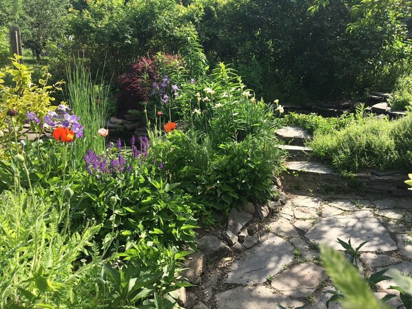 Property grounds - Cozy, Artistic Retreat Surrounded By Waterfalls, Orchards And Gardens (Newfield)