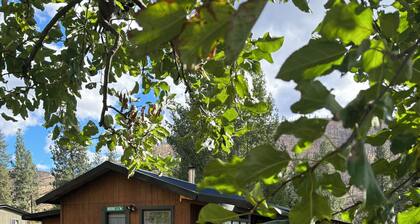 Whispering Moose kodikas mökki Pristine Lolo Creek Road