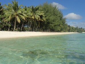 A beach with clear turquoise water, white sand, and palm trees. - Eve & Sandys Holiday Home (Rarotonga)