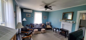 Smart TV, chimenea, reproductor de DVD y libros 