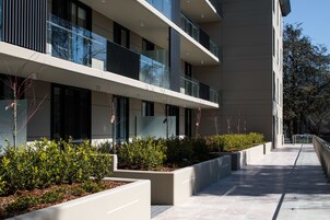 Vista desde la propiedad