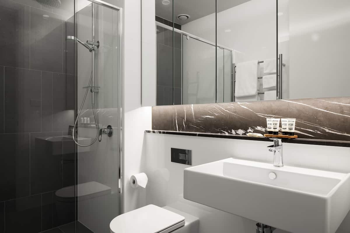 shower, free toiletries, hair dryer, towels