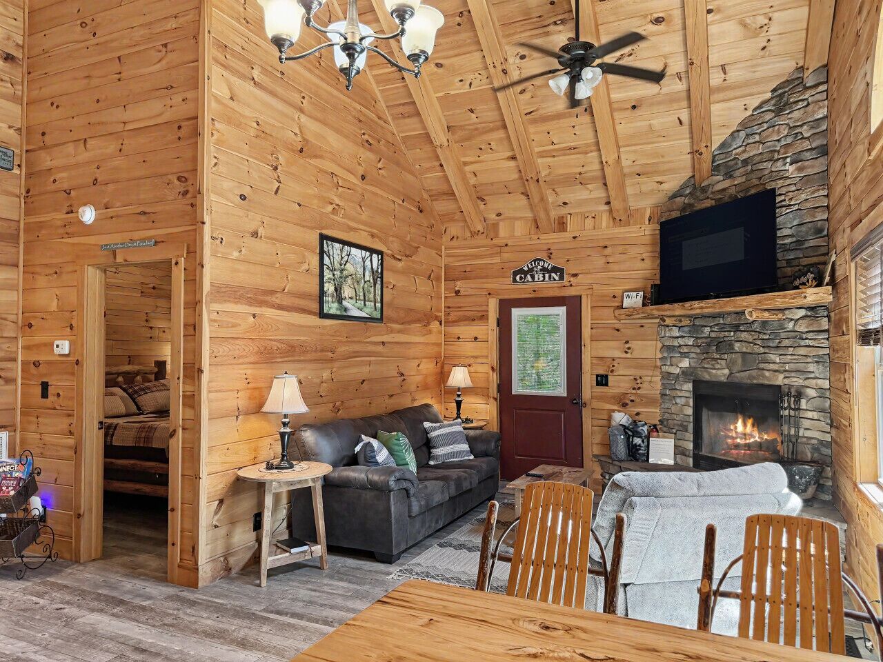 TV, fireplace, books