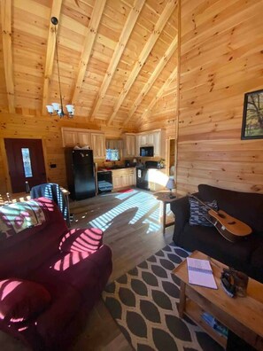 TV, fireplace, DVD player