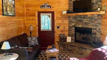 Televisión, chimenea y reproductor de DVD