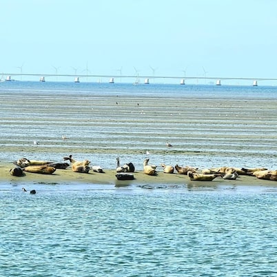 Beautiful setting on the water and 100 meters from the beach!