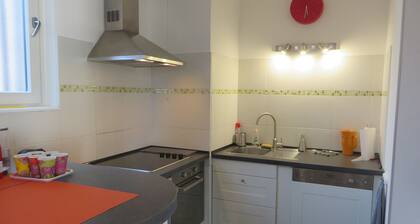 Parking, at the water's edge, opposite the historic center, bright and quiet 74 m²