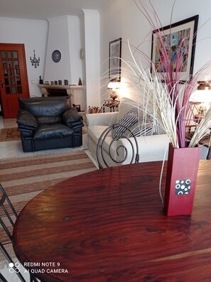 Fernseher, Kamin, Bücher, Musikbibliothek