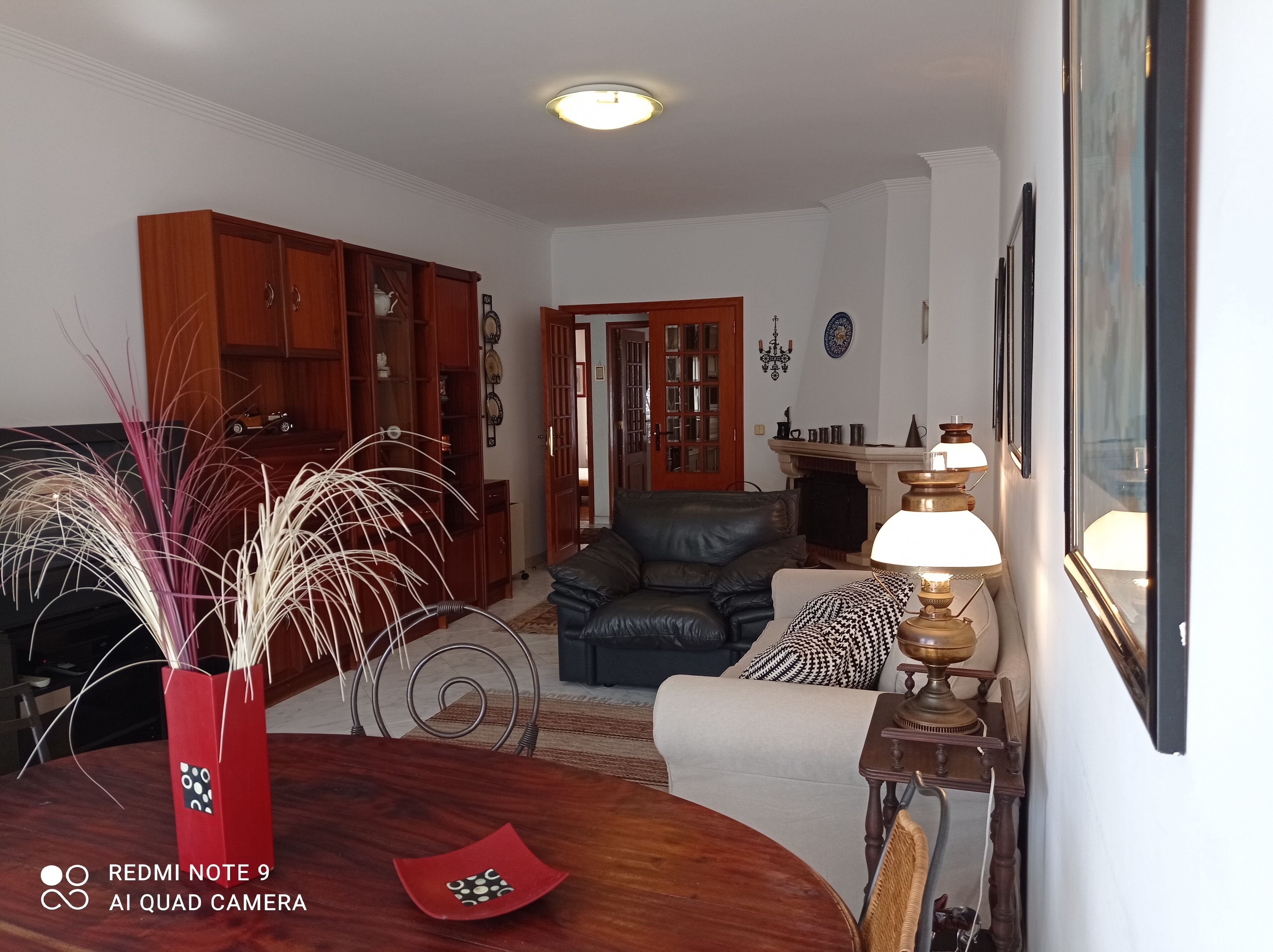 TV, fireplace, books, music library