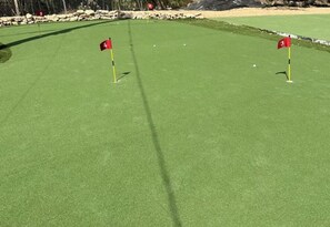A green artificial turf golf course with numbered holes and flags. - Bachelor  Party HQ, pickleball/golf, 16 beds. DT (Austin)