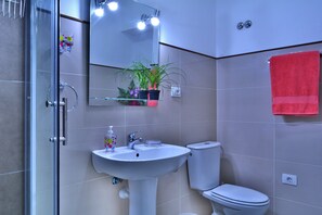 Combined shower/bathtub, hair dryer, bidet, towels