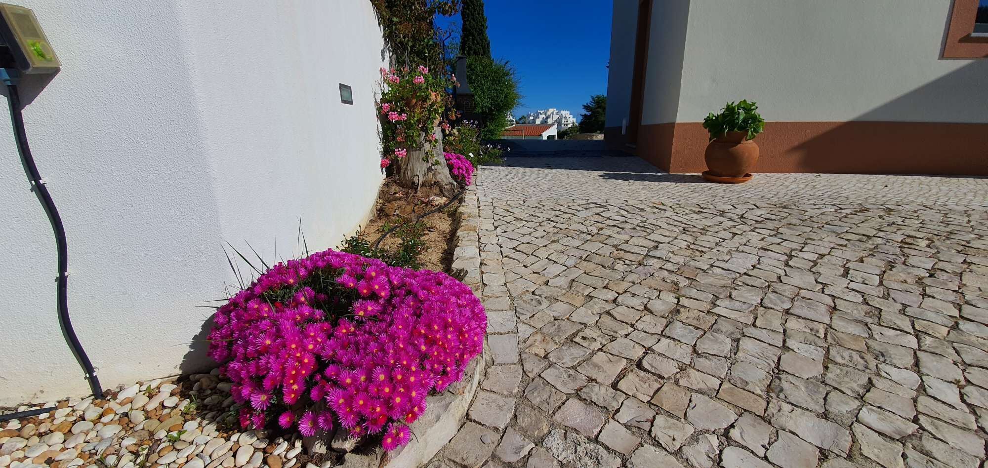 Une rue pavée, avec un bâtiment blanc sur la gauche et un pot de fleurs sur la droite.