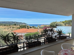 Property grounds - Diano Marina: villa with fantastic views! (Diano Marina)