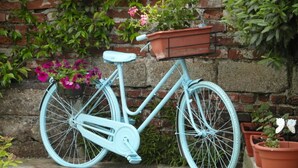 Un vélo bleu clair, doté d’un panier, est garé contre un mur de briques, à côté de plantes en pot.
