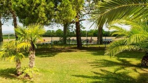 A grassy outdoor area with palm trees and a fenced area in the background. -  Large apartment with terrace in character property (Béziers)
