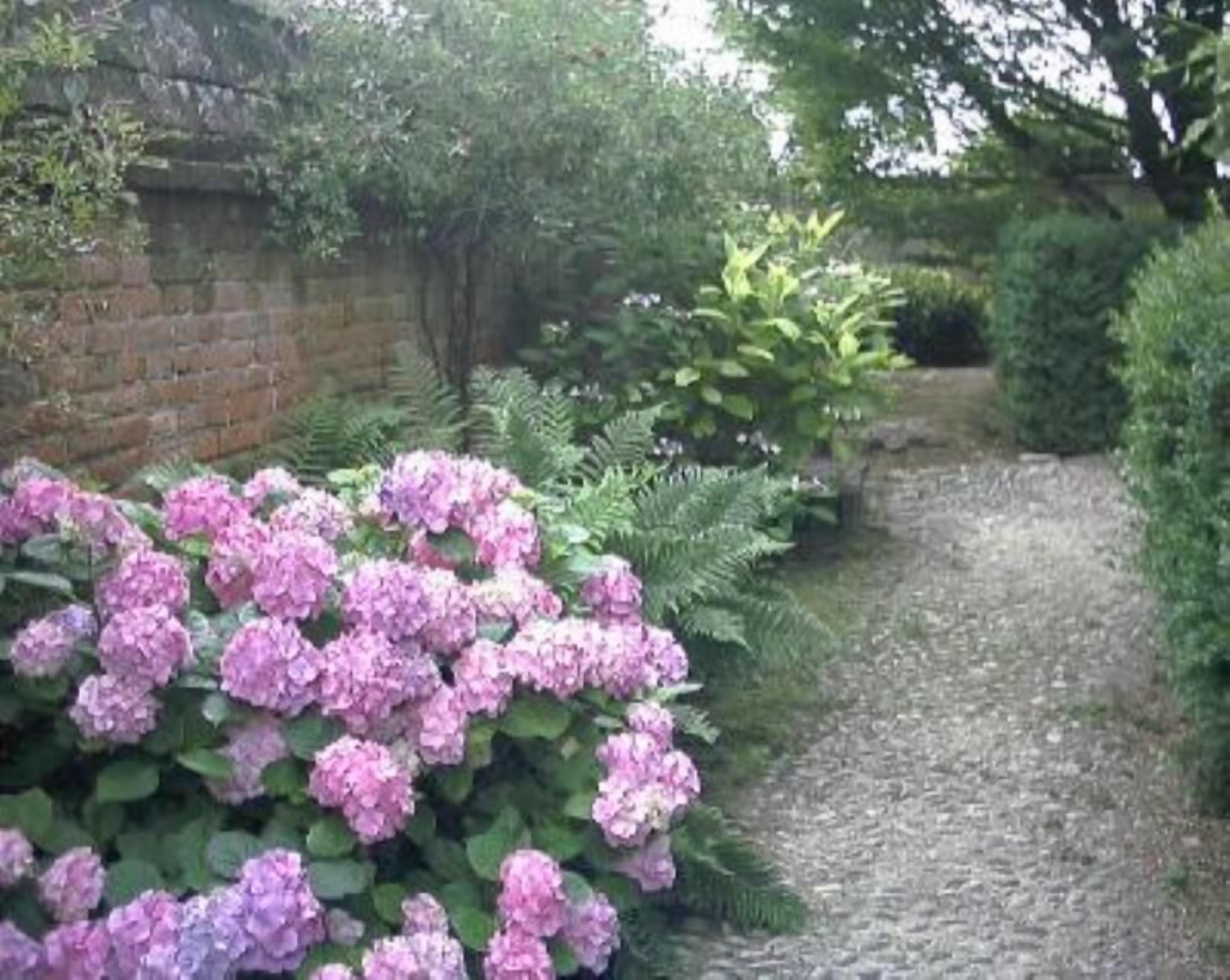 Garden, Park