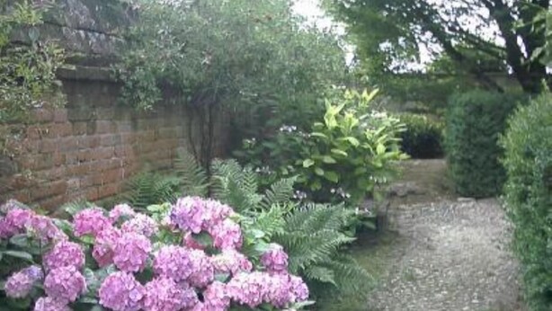 A garden with pink hydrangea bushes, a brick wall, and a gravel path. - Eco-Villa with garden and swimming pool UNESCO Heritage area  (Govone)