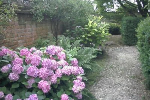 Garden, Park