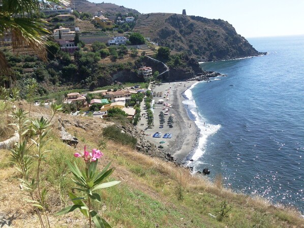 Playa en los alrededores y camastros 