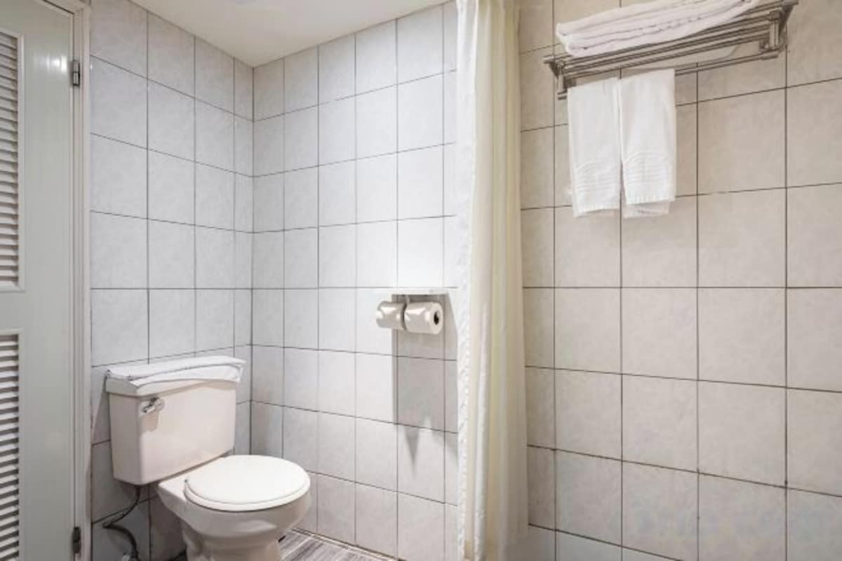 Ducha, artículos de tocador gratuitos, secador de pelo, toallas