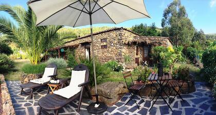 FINCA SAN PABLO - Tuuli- CAVE - Icod viinit