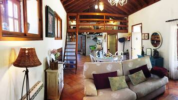 Televisión, chimenea y libros