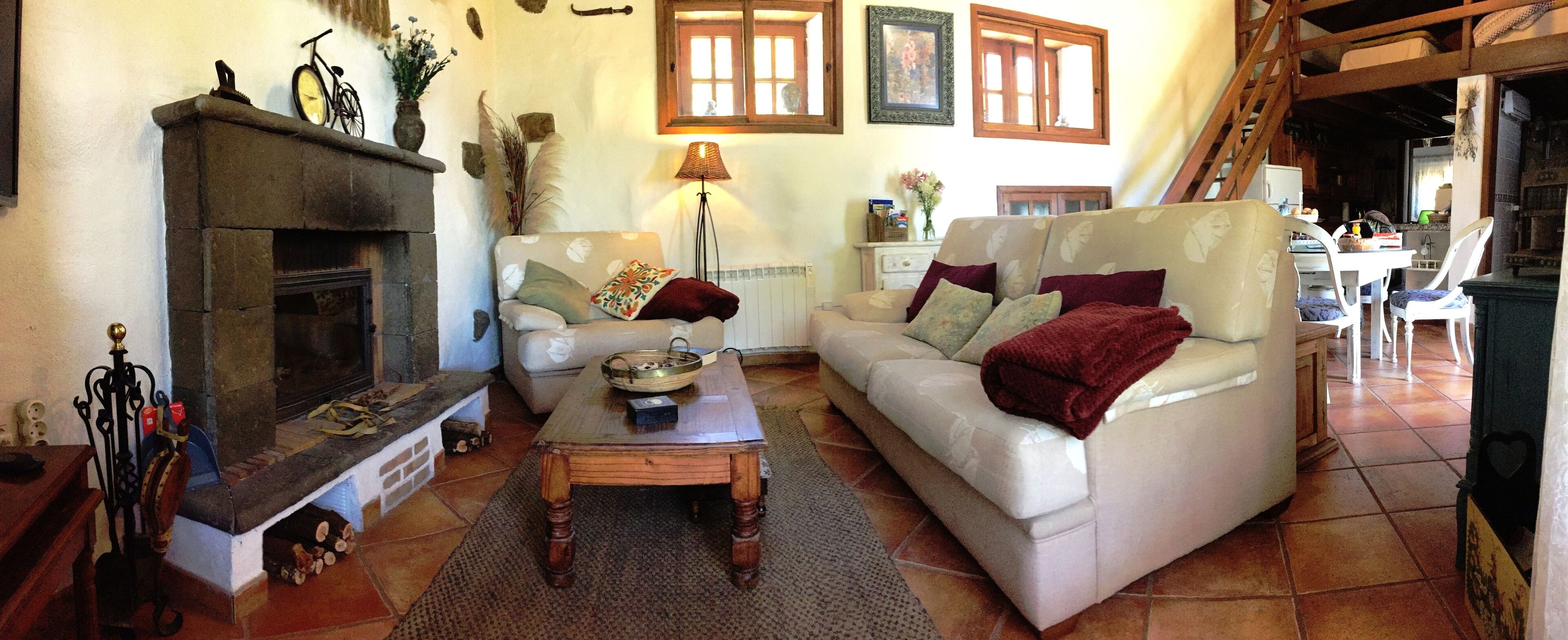 TV, fireplace, books