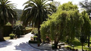 A paved garden pathway with palm trees and various shrubs.