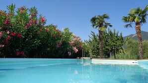 Une piscine à l’eau d’un bleu cristallin, entourée d’une végétation luxuriante et de fleurs roses.
